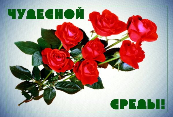 С веселой средой