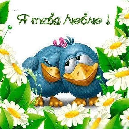 открытки любимым с любовью. я тебя люблю. i love you. люблю больше жизни