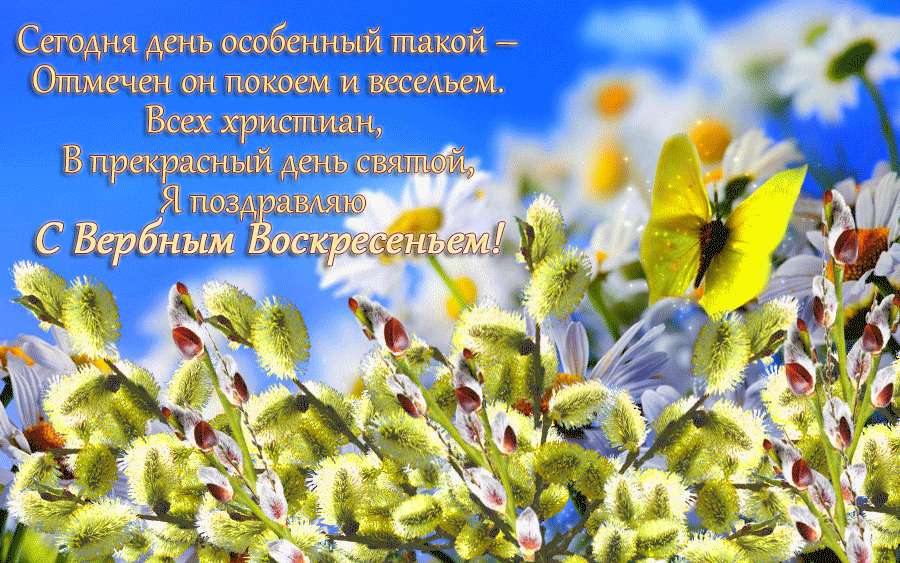 Вербное воскресенье это праздник. С Вербным воскресеньем открытки. С праздником Вербное воскресенье. С Вербным воскресеньем гифки красивые. Открытка с Вербным воскресеньем 2021