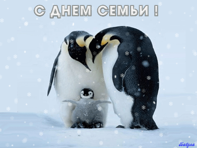 поздравления с днем семьи. моя семья. с днем семьи, любви и верности. поздрав...