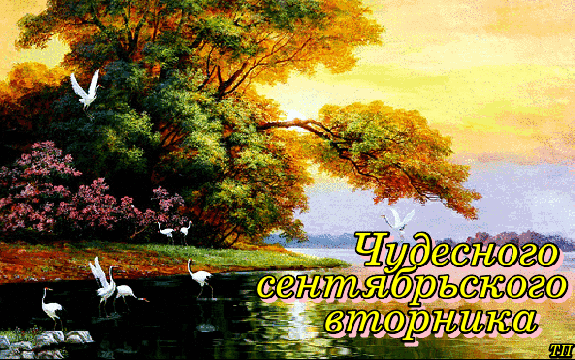 вторник. с добрым вторником.