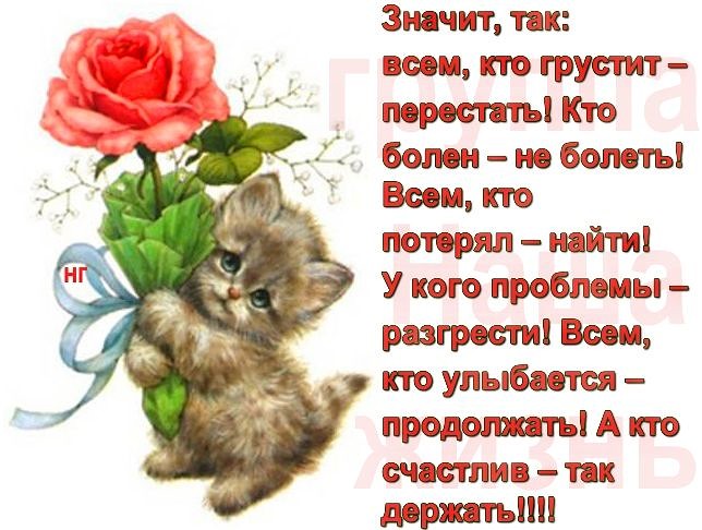 не грусти. не скучай. все будет хорошо. улыбнись. все пройдет