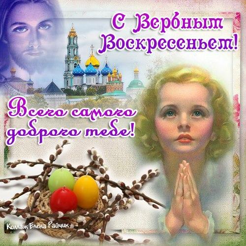 Без названия