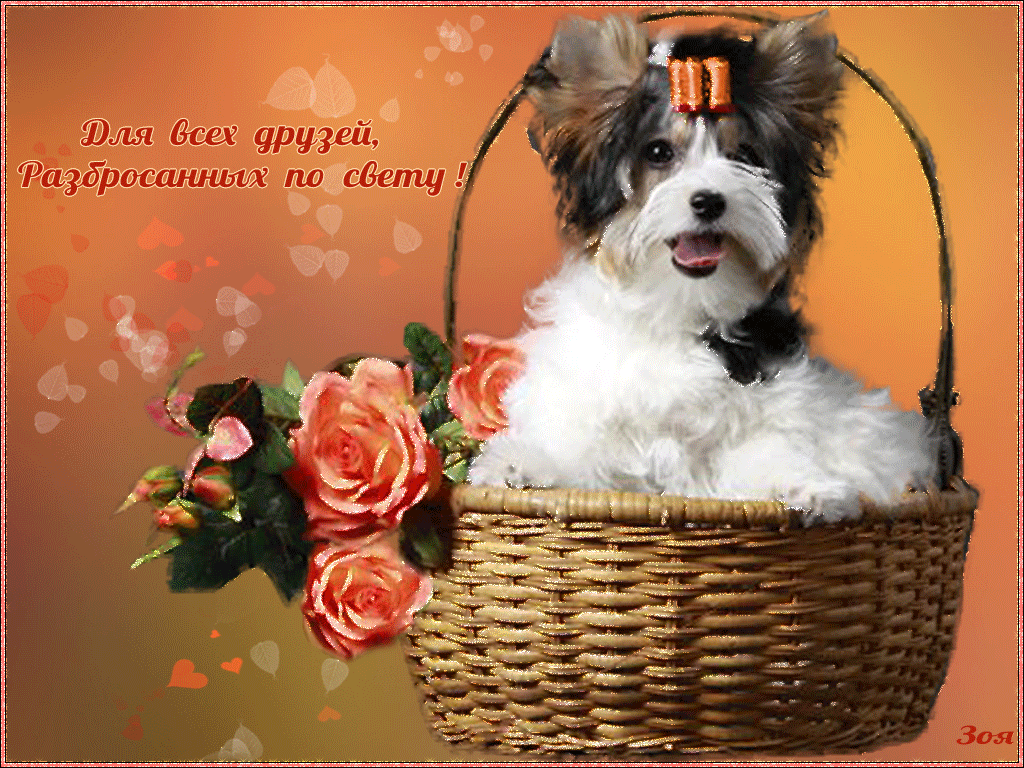 скачать открытки для друзей, приятные слова для друзей, спасибо друзья, 