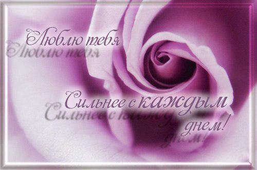 открытки любимым с любовью. я тебя люблю. i love you. люблю больше жизни