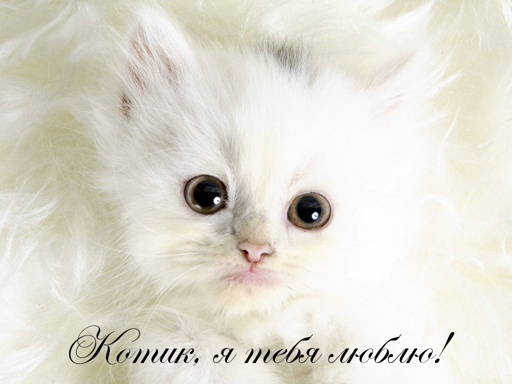 открытки любимым с любовью. я тебя люблю. i love you. люблю больше жизни