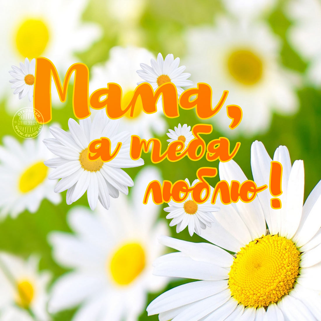 открытки маме с любовью. мама я тебя люблю. моя мама самая лучшая