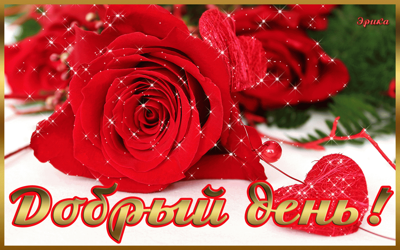 добрый день. открытки добрый день.доброго дня. хорошего дня. удачного дня