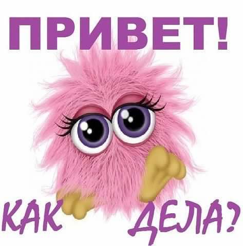 открытки привет, как дела. как настроение. пожелание хорошего дня