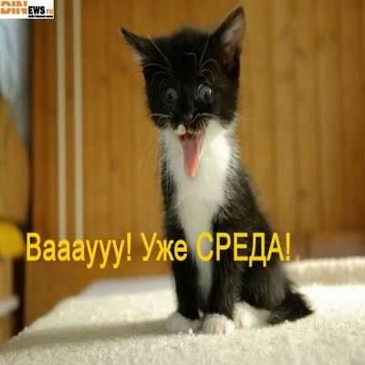 С веселой средой