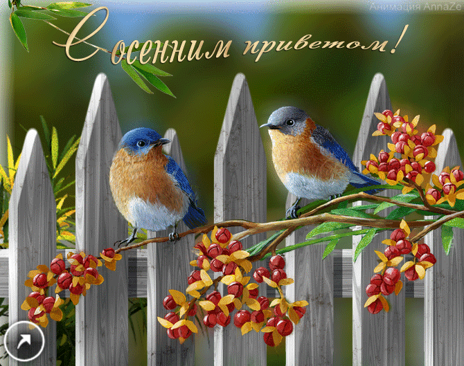 С началом осени