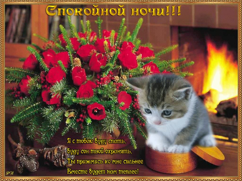 спокойной ночи. открытки с пожеланием спокойной ночи. приятных снов. сладких снов. приятных сновидений. доброй ночи. нежных снов. волшебных снов. спите сладко 