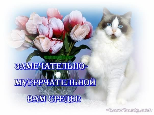 С веселой средой