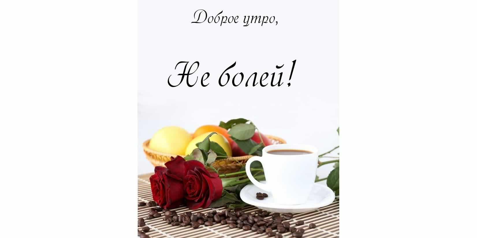 доброе утро. открытки с добрым утром. с добрым утром. желаю доброго утра