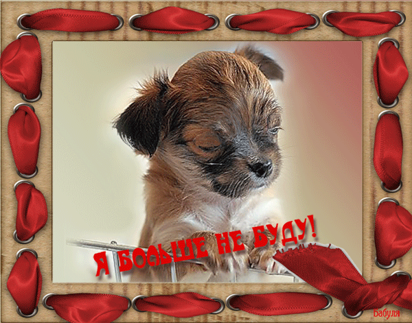 прости. прости меня. открытки прости. прости пожалуйста. прости меня пожалуйс...