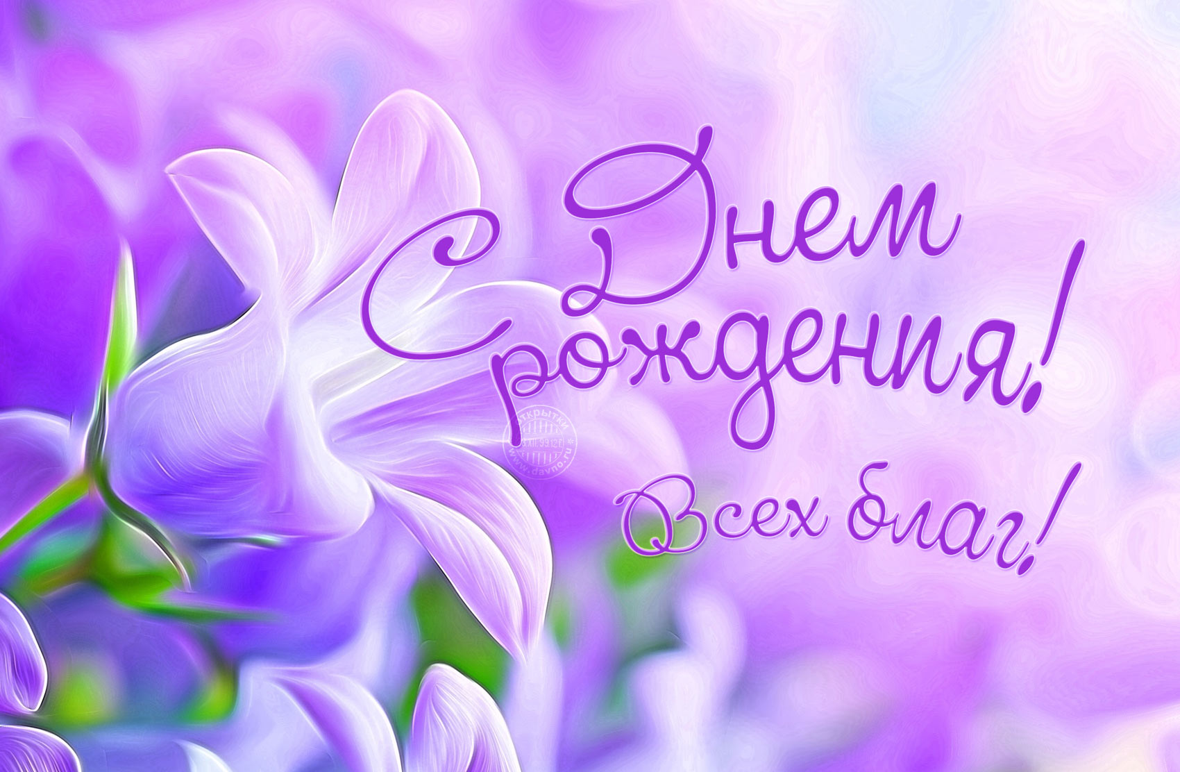 и, пожелания с днем рождения девушке, цветы