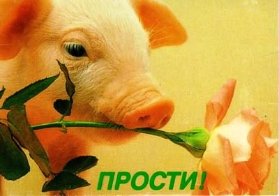 прости. прости меня. открытки прости. прости пожалуйста. прости меня пожалуйс...