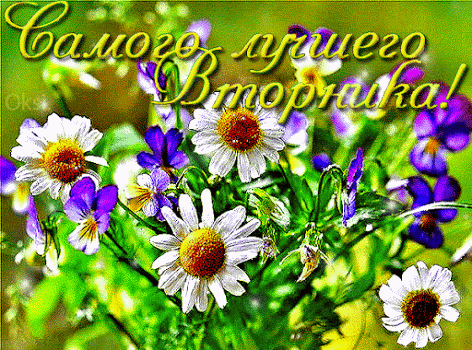 вторник. с добрым вторником.