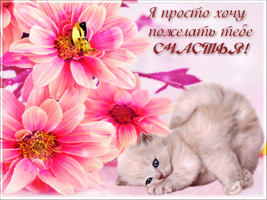 счастья. открытки с пожеланием счастья