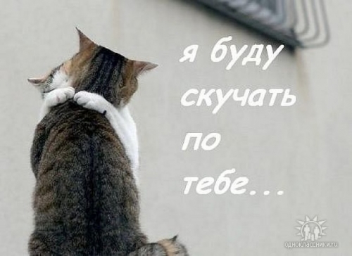 открытки я скучаю. мне скучно без тебя. я соскучилась по тебе . i miss you.