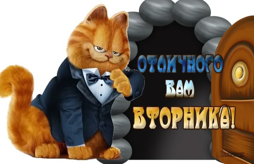 вторник. с добрым вторником.