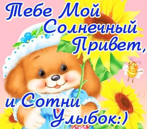 открытки привет, как дела. как настроение. пожелание хорошего дня