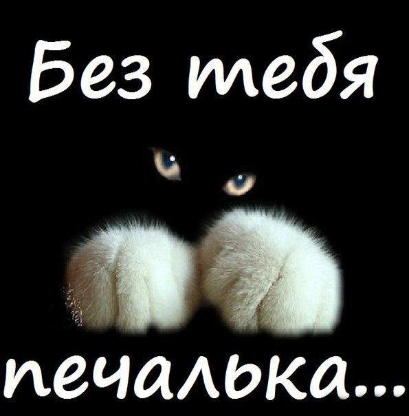 открытки я скучаю. мне скучно без тебя. я соскучилась по тебе . i miss you.
