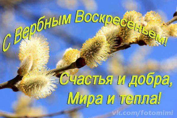 открытки на вербное воскресенье. пожелания к празднику вербное воскресенье