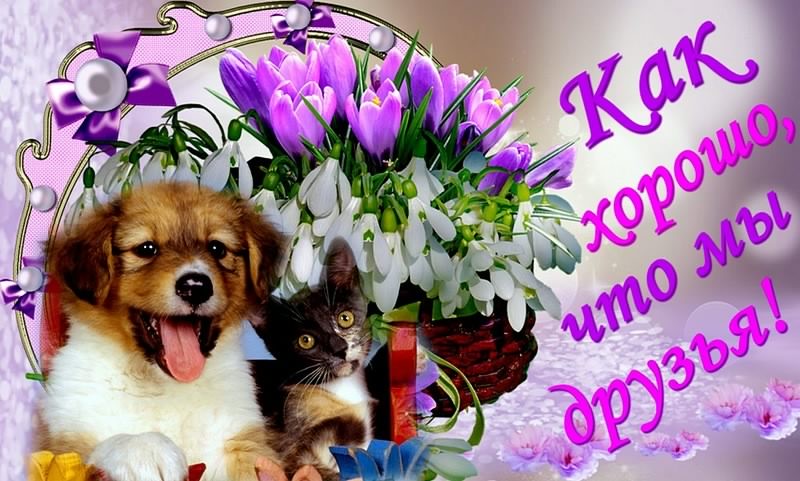 скачать открытки для друзей, приятные слова для друзей, спасибо друзья, 