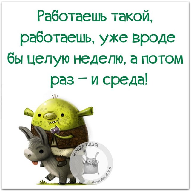 С веселой средой