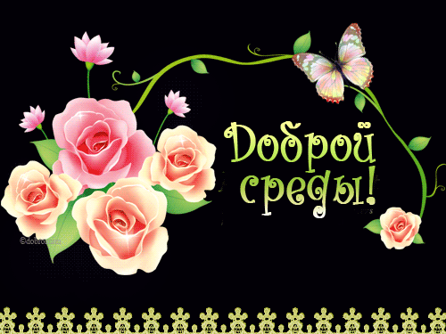 С веселой средой