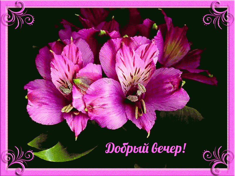 добрый вечер. приятного вечера. доброго вам вечера. хорошего вечера. приятног...