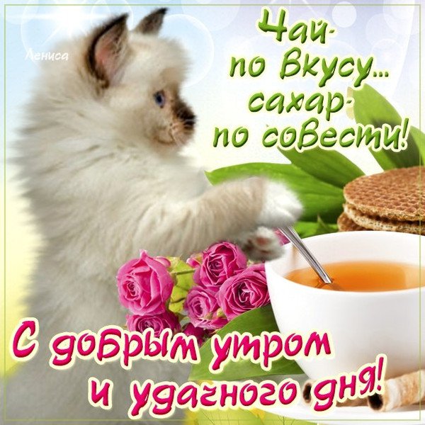 доброе утро. открытки с добрым утром. с добрым утром. желаю доброго утра