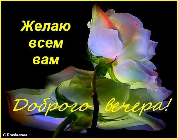 добрый вечер. приятного вечера. доброго вам вечера. хорошего вечера. приятног...