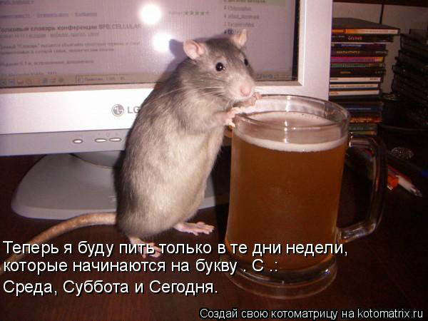 С веселой средой