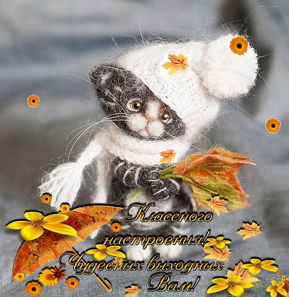 Приятных выходных