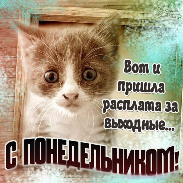 понедельник. открытки к понедельнику. опять понедельник. легкого