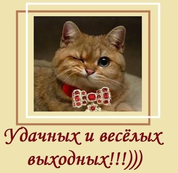 Приятных выходных