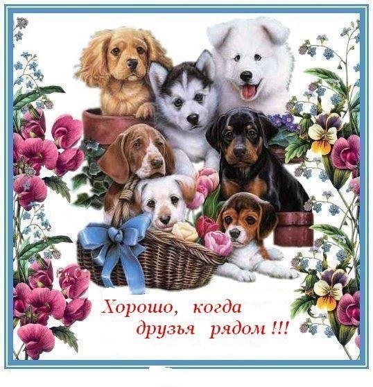 скачать открытки для друзей, приятные слова для друзей, спасибо друзья, 