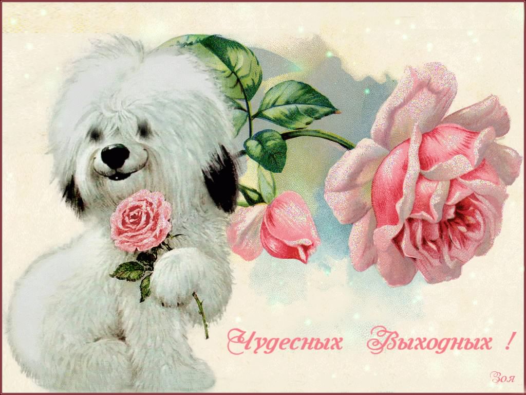 Приятных выходных