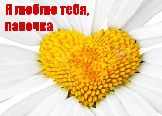 Без названия