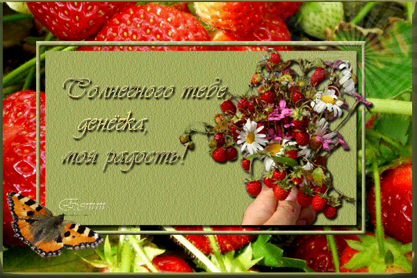 добрый день. открытки добрый день.доброго дня. хорошего дня. удачного дня