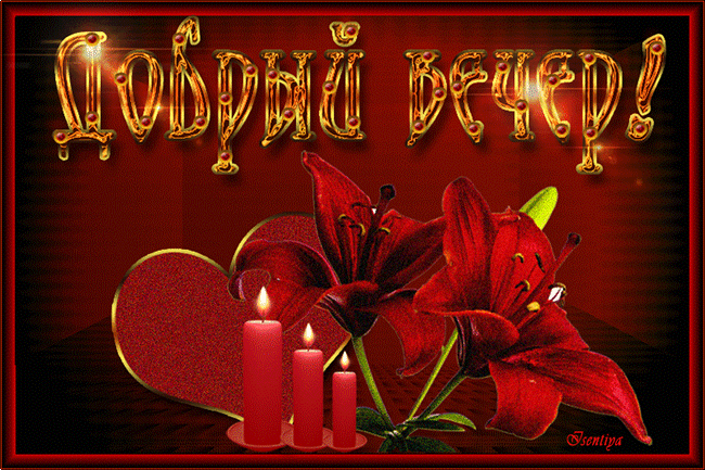 добрый вечер. приятного вечера. доброго вам вечера. хорошего вечера. приятног...