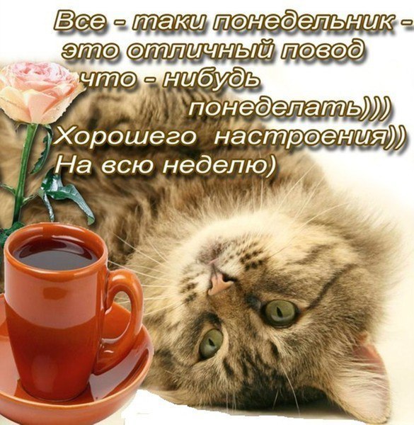 понедельник. открытки к понедельнику. опять понедельник. легкого