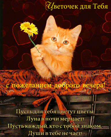 добрый вечер. приятного вечера. доброго вам вечера. хорошего вечера. приятного летнего вечера. отдыхайте с удовольствием .хорошего вечера, приятного общения