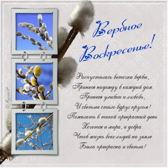 открытки на вербное воскресенье. пожелания к празднику вербное воскресенье