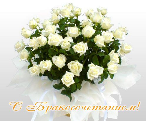 поздравляю с бракосочетанием. счастливой семейной жизни==description=открытки...