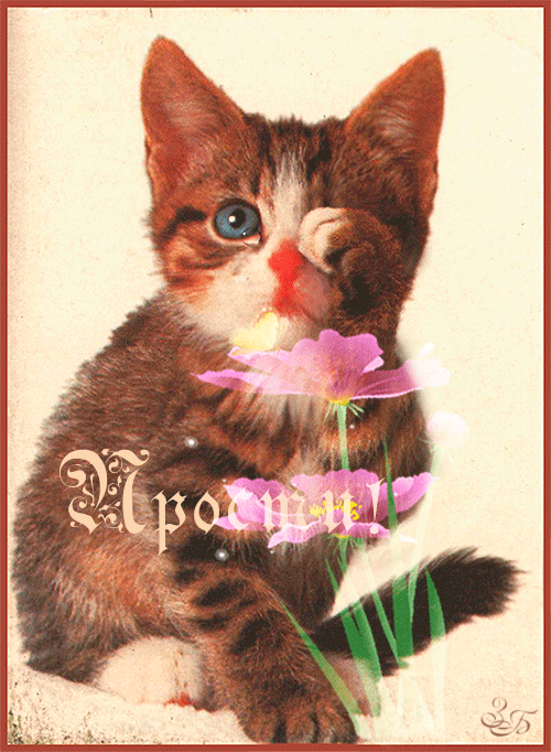 прости. прости меня. открытки прости. прости пожалуйста. прости меня пожалуйс...