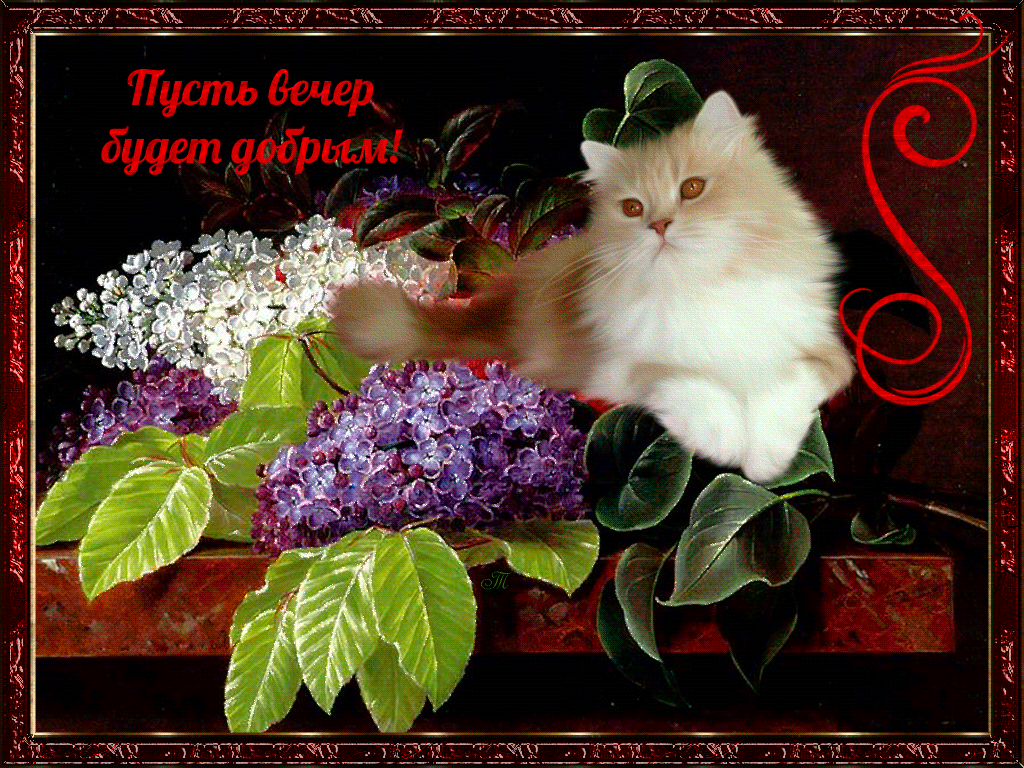 добрый вечер. приятного вечера. доброго вам вечера. хорошего вечера. приятного летнего вечера. отдыхайте с удовольствием .хорошего вечера, приятного общения