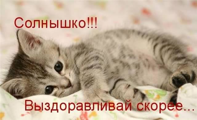 выздоравливай. желаю скорейшего выздоровления. не болей